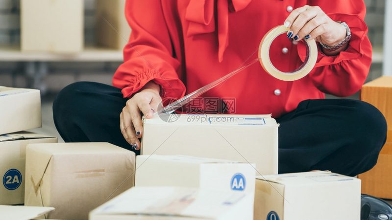 Shopify Plus建站费用：揭秘电商平台的“豪华版”投资