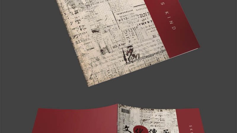 Shopify绑定域名，从提交到生效，全程解析